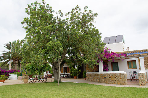 vinya-den-palerm-ibiza-agroturismo
