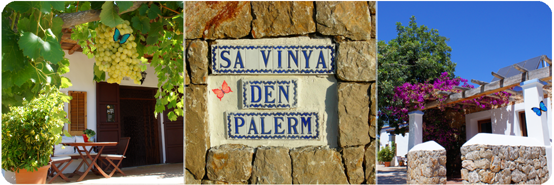 slide_vinya