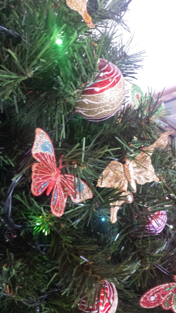 navidad_agroturismo_vinyadenpalerm_ibiza