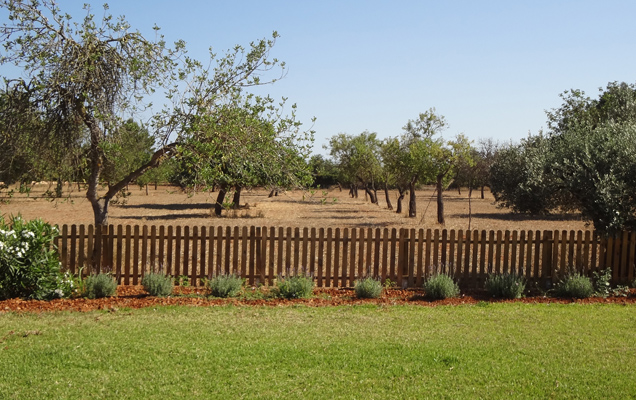 vinyadenpalerm_ibiza2015_temporada