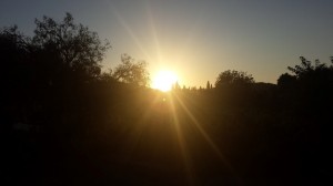 20140823_201130 (Small)