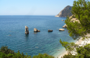 Vinya_postFebrero_es cubells