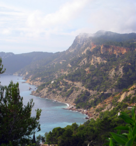 Vinya_postFebrero_es cubells