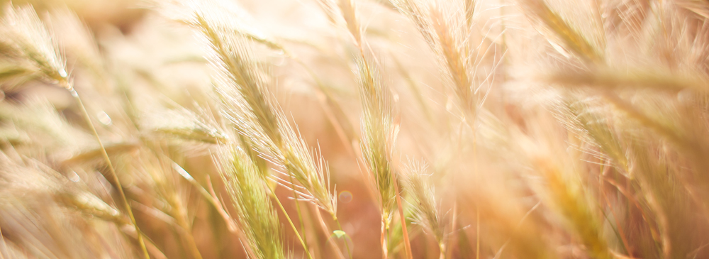 VINYADENPALERM_TALLERES_ABRIL